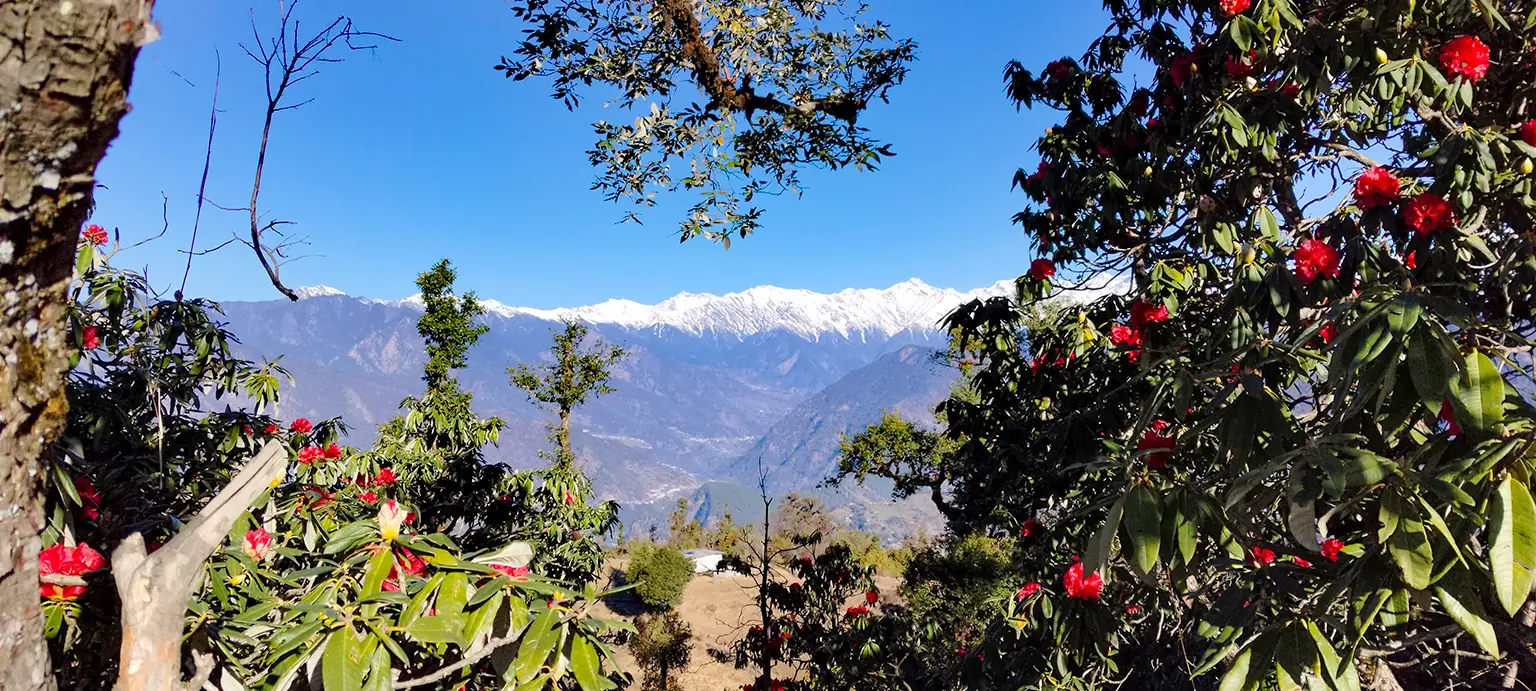 Chopta Chandrashila 3 Day Trek